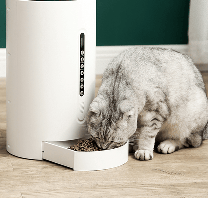 4.6L Automatic Smart Pet Feeder with Timing & Portion Control - BelovedPets
