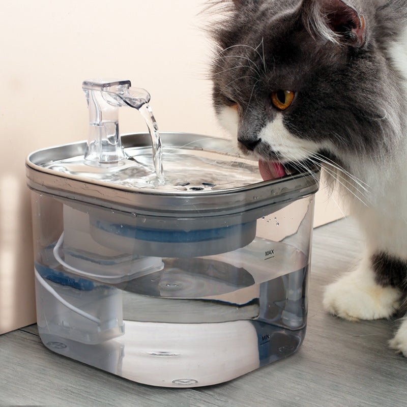 Stainless Steel Automatic Pet Water Fountain - BelovedPets
