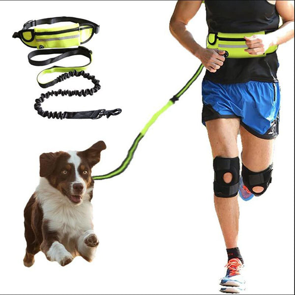 Hands-Free Dog Walking & Running Belt