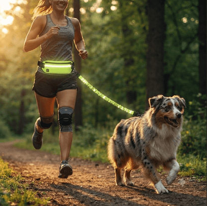 Hands-Free Dog Walking & Running Belt - BelovedPets