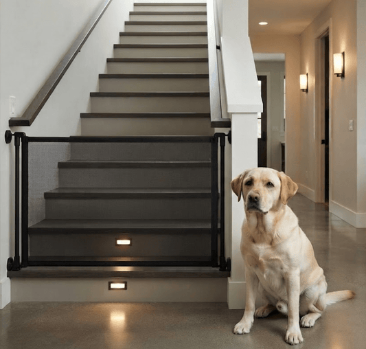 Portable Magic Pet Safety Gate & Mesh Fence - BelovedPets