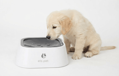 Anti-Overflow Floating Water Dispenser 1.5L - BelovedPets