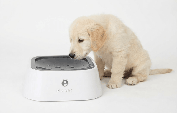Anti-Overflow Floating Water Dispenser 1.5L - BelovedPets