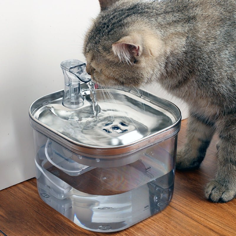 Stainless Steel Automatic Pet Water Fountain - BelovedPets